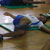 Treinamento Funcional - Futebol